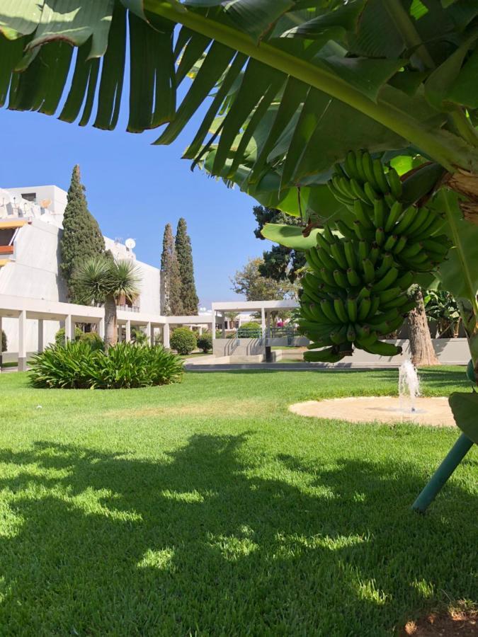 דירות קוסטה דל סילנסיו Good Vibes מראה חיצוני תמונה